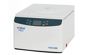 1600304566406323.jpg 11.jpg